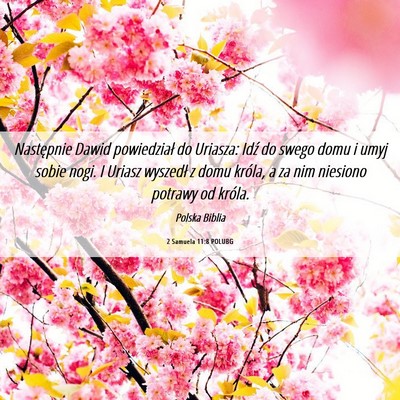 Picture 06 - 2 Samuela 11:8 POLUBG - Następnie Dawid powiedział do Uriasza: Idź do - Bible Verse Picture