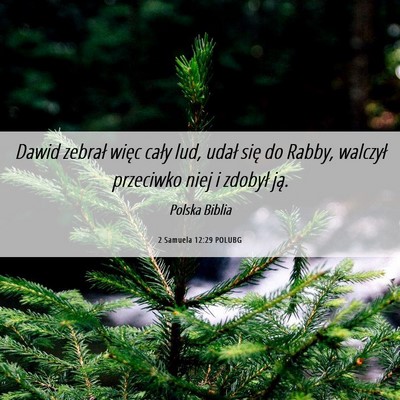 Picture 06 - 2 Samuela 12:29 POLUBG - Dawid zebrał więc cały lud, udał się do - Bible Verse Picture