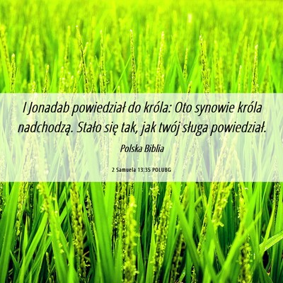 Picture 06 - 2 Samuela 13:35 POLUBG - I Jonadab powiedział do króla: Oto synowie - Bible Verse Picture