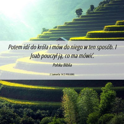 Picture 06 - 2 Samuela 14:3 POLUBG - Potem idź do króla i mów do niego w ten - Bible Verse Picture