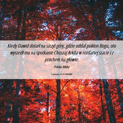 Picture 06 - 2 Samuela 15:32 POLUBG - Kiedy Dawid dotarł na szczyt góry, gdzie oddał - Bible Verse Picture