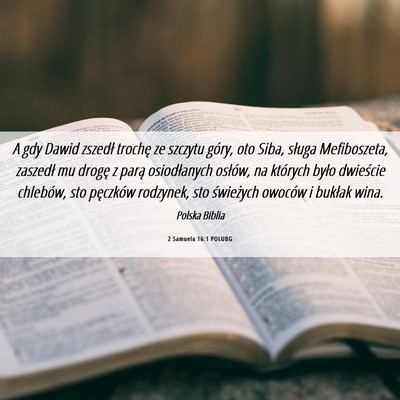Picture 06 - 2 Samuela 16:1 POLUBG - A gdy Dawid zszedł trochę ze szczytu góry, oto - Bible Verse Picture