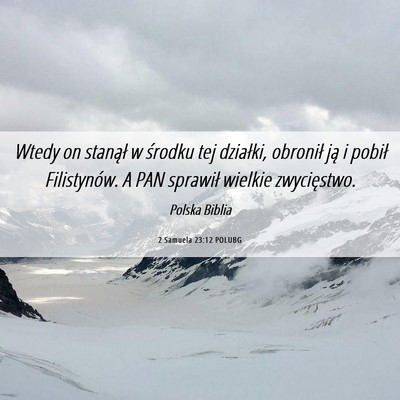 Picture 06 - 2 Samuela 23:12 POLUBG - Wtedy on stanął w środku tej działki, - Bible Verse Picture