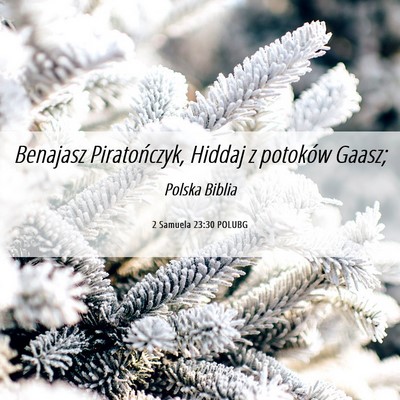 Picture 06 - 2 Samuela 23:30 POLUBG - Benajasz Piratończyk, Hiddaj z potoków - Bible Verse Picture
