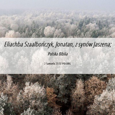 Picture 06 - 2 Samuela 23:32 POLUBG - Eliachba Szaalbończyk, Jonatan, z synów - Bible Verse Picture