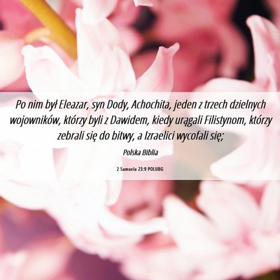 Picture 06 - 2 Samuela 23:9 POLUBG - Po nim był Eleazar, syn Dody, Achochita, jeden z - Bible Verse Picture