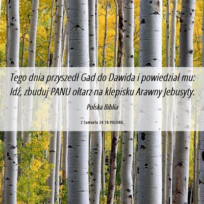 Picture 06 - 2 Samuela 24:18 POLUBG - Tego dnia przyszedł Gad do Dawida i powiedział - Bible Verse Picture