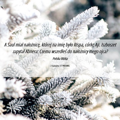 Picture 06 - 2 Samuela 3:7 POLUBG - A Saul miał nałożnicę, której na imię było - Bible Verse Picture