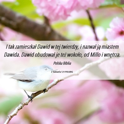Picture 06 - 2 Samuela 5:9 POLUBG - I tak zamieszkał Dawid w tej twierdzy, i nazwał - Bible Verse Picture