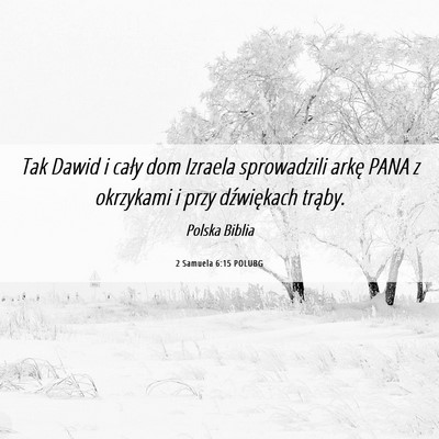 Picture 06 - 2 Samuela 6:15 POLUBG - Tak Dawid i cały dom Izraela sprowadzili arkę - Bible Verse Picture