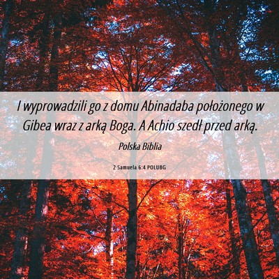 Picture 06 - 2 Samuela 6:4 POLUBG - I wyprowadzili go z domu Abinadaba położonego w - Bible Verse Picture