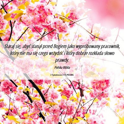 Picture 06 - 2 Tymoteusza 2:15 POLUBG - Staraj się, abyś stanął przed Bogiem jako - Bible Verse Picture