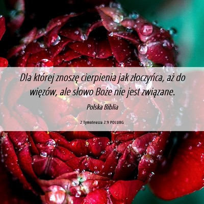 Picture 06 - 2 Tymoteusza 2:9 POLUBG - Dla której znoszę cierpienia jak złoczyńca, - Bible Verse Picture