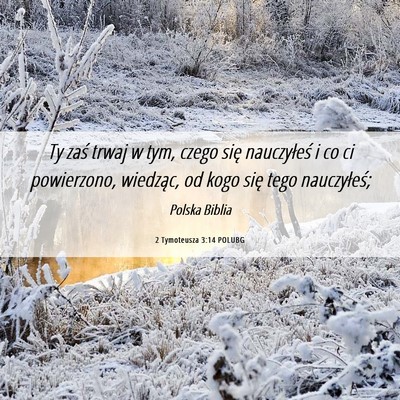 Picture 06 - 2 Tymoteusza 3:14 POLUBG - Ty zaś trwaj w tym, czego się nauczyłeś i co - Bible Verse Picture