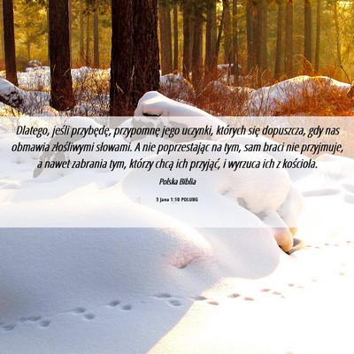 Picture 06 - 3 Jana 1:10 POLUBG - Dlatego, jeśli przybędę, przypomnę jego - Bible Verse Picture