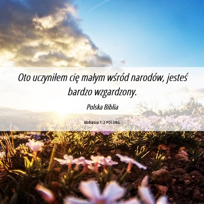 Picture 06 - Abdiasza 1:2 POLUBG - Oto uczyniłem cię małym wśród narodów, - Bible Verse Picture