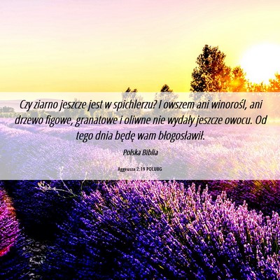 Picture 06 - Aggeusza 2:19 POLUBG - Czy ziarno jeszcze jest w spichlerzu? I owszem - Bible Verse Picture