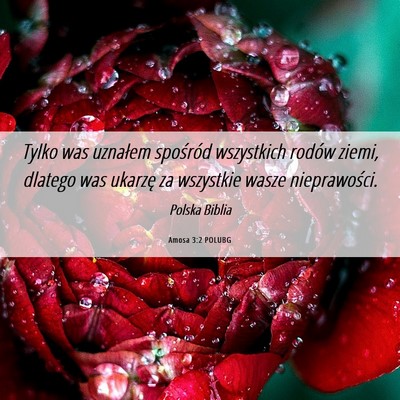 Picture 06 - Amosa 3:2 POLUBG - Tylko was uznałem spośród wszystkich rodów - Bible Verse Picture