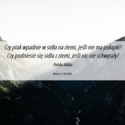 Picture 06 - Amosa 3:5 POLUBG - Czy ptak wpadnie w sidła na ziemi, jeśli nie ma - Bible Verse Picture