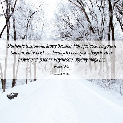 Picture 06 - Amosa 4:1 POLUBG - Słuchajcie tego słowa, krowy Baszanu, które - Bible Verse Picture