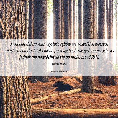 Picture 06 - Amosa 4:6 POLUBG - A chociaż dałem wam czystość zębów we - Bible Verse Picture