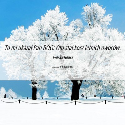 Picture 06 - Amosa 8:1 POLUBG - To mi ukazał Pan BÓG: Oto stał kosz letnich - Bible Verse Picture