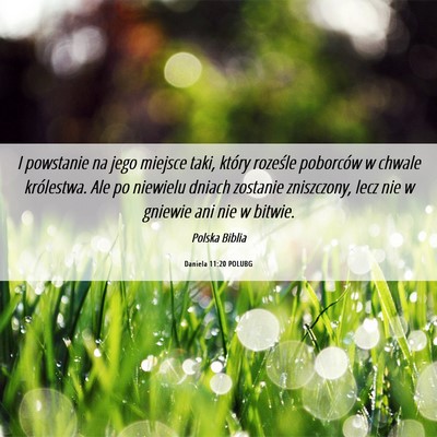Picture 06 - Daniela 11:20 POLUBG - I powstanie na jego miejsce taki, który roześle - Bible Verse Picture