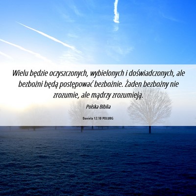 Picture 06 - Daniela 12:10 POLUBG - Wielu będzie oczyszczonych, wybielonych i - Bible Verse Picture