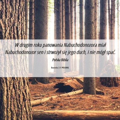 Picture 06 - Daniela 2:1 POLUBG - W drugim roku panowania Nabuchodonozora miał - Bible Verse Picture