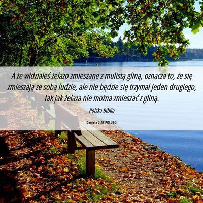 Picture 06 - Daniela 2:43 POLUBG - A że widziałeś żelazo zmieszane z mulistą - Bible Verse Picture