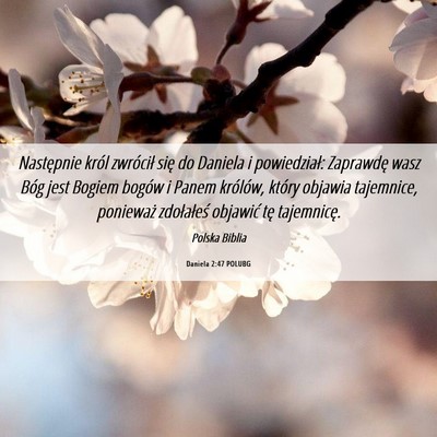 Picture 06 - Daniela 2:47 POLUBG - Następnie król zwrócił się do Daniela i - Bible Verse Picture