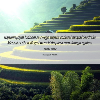 Picture 06 - Daniela 3:20 POLUBG - Najsilniejszym ludziom ze swego wojska rozkazał - Bible Verse Picture