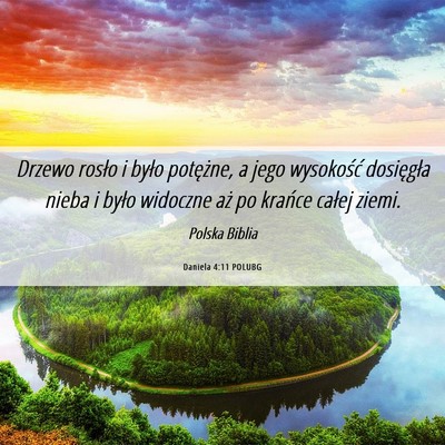 Picture 06 - Daniela 4:11 POLUBG - Drzewo rosło i było potężne, a jego - Bible Verse Picture