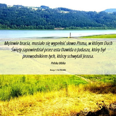 Picture 06 - Dzieje 1:16 POLUBG - Mężowie bracia, musiało się wypełnić słowo - Bible Verse Picture