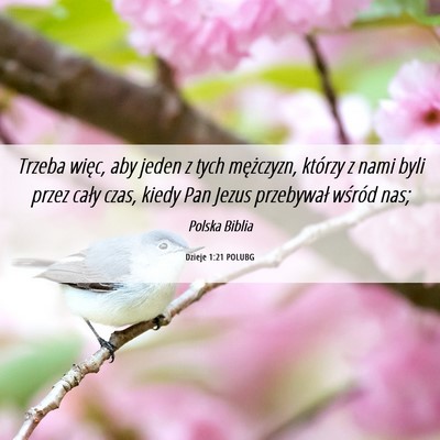 Picture 06 - Dzieje 1:21 POLUBG - Trzeba więc, aby jeden z tych mężczyzn, - Bible Verse Picture