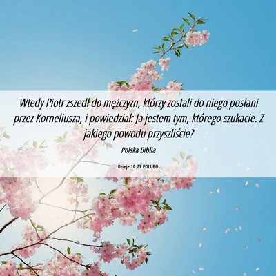 Picture 06 - Dzieje 10:21 POLUBG - Wtedy Piotr zszedł do mężczyzn, którzy - Bible Verse Picture