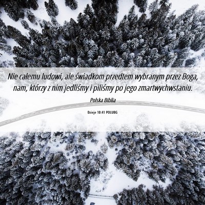 Picture 06 - Dzieje 10:41 POLUBG - Nie całemu ludowi, ale świadkom przedtem - Bible Verse Picture