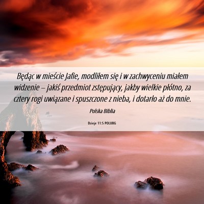 Picture 06 - Dzieje 11:5 POLUBG - Będąc w mieście Jafie, modliłem się i w - Bible Verse Picture