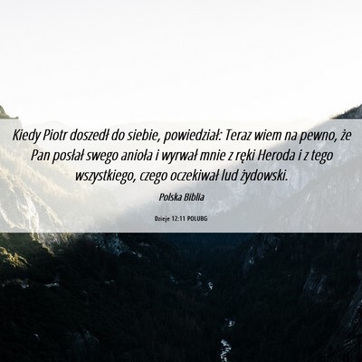 Picture 06 - Dzieje 12:11 POLUBG - Kiedy Piotr doszedł do siebie, powiedział: - Bible Verse Picture