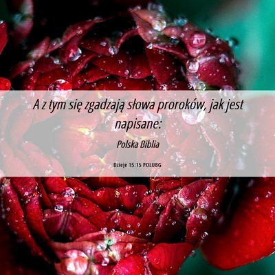 Picture 06 - Dzieje 15:15 POLUBG - A z tym się zgadzają słowa proroków, jak jest - Bible Verse Picture