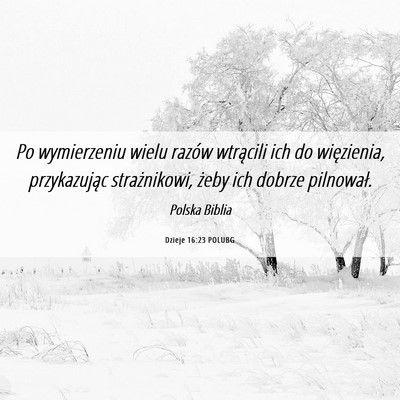 Picture 06 - Dzieje 16:23 POLUBG - Po wymierzeniu wielu razów wtrącili ich do - Bible Verse Picture