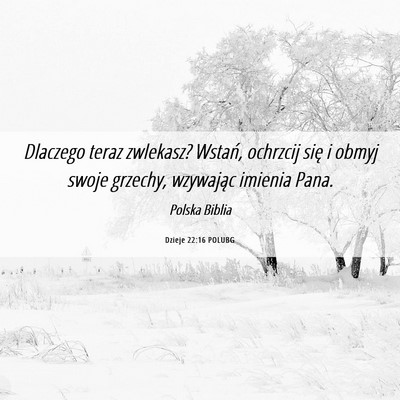 Picture 06 - Dzieje 22:16 POLUBG - Dlaczego teraz zwlekasz? Wstań, ochrzcij się i - Bible Verse Picture