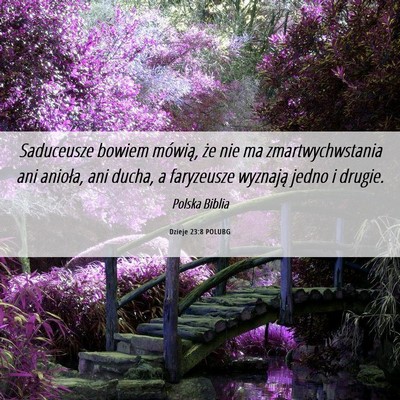 Picture 06 - Dzieje 23:8 POLUBG - Saduceusze bowiem mówią, że nie ma - Bible Verse Picture