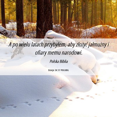 Picture 06 - Dzieje 24:17 POLUBG - A po wielu latach przybyłem, aby złożyć - Bible Verse Picture