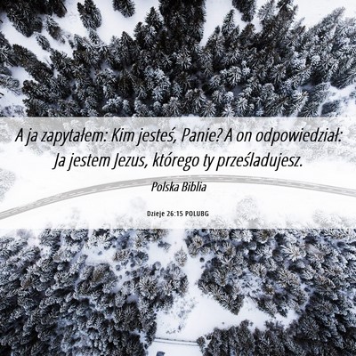 Picture 06 - Dzieje 26:15 POLUBG - A ja zapytałem: Kim jesteś, Panie? A on - Bible Verse Picture