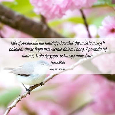 Picture 06 - Dzieje 26:7 POLUBG - Której spełnienia ma nadzieję doczekać - Bible Verse Picture