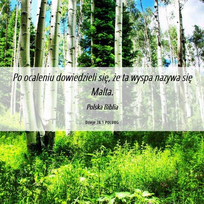 Picture 06 - Dzieje 28:1 POLUBG - Po ocaleniu dowiedzieli się, że ta wyspa nazywa - Bible Verse Picture