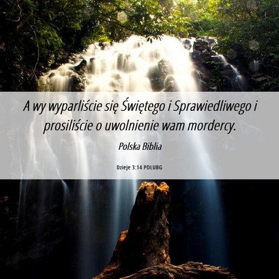 Picture 06 - Dzieje 3:14 POLUBG - A wy wyparliście się Świętego i - Bible Verse Picture
