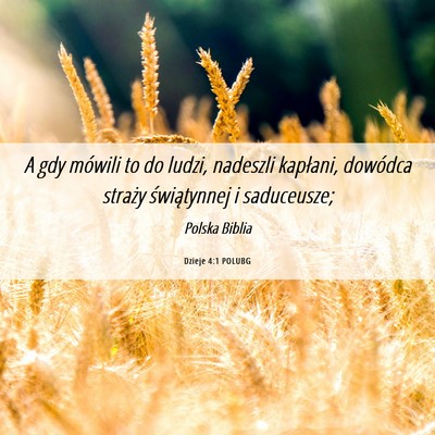 Picture 06 - Dzieje 4:1 POLUBG - A gdy mówili to do ludzi, nadeszli kapłani, - Bible Verse Picture
