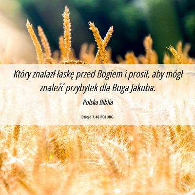 Picture 06 - Dzieje 7:46 POLUBG - Który znalazł łaskę przed Bogiem i prosił, - Bible Verse Picture